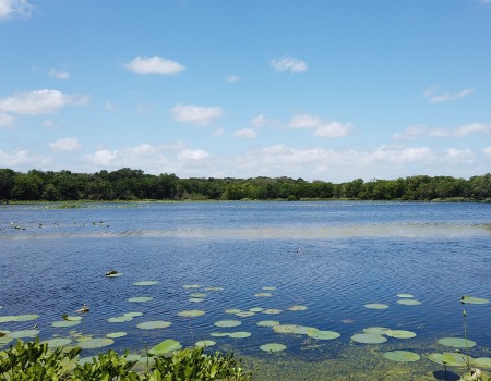 Metal Roofers Bellmead