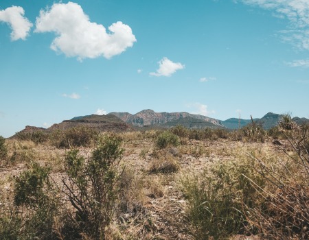 Metal Roofers Circle D Kc Estates