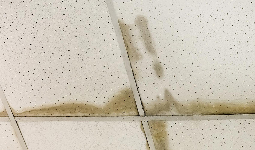 Easy roof repair leaks