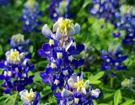 Metal Roofers Hewitt