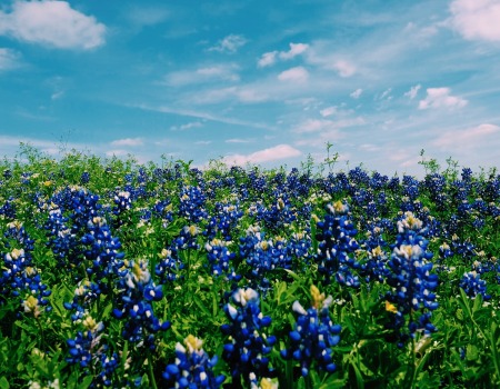 Metal Roofers Leander