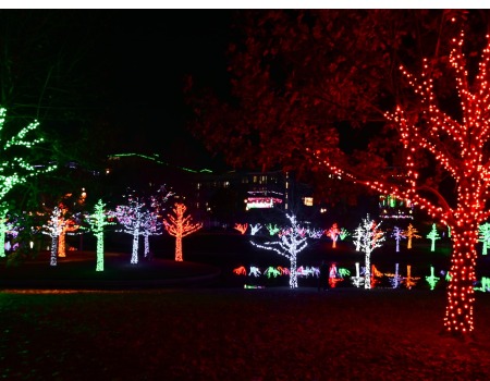 Metal Roofers Liberty Hill