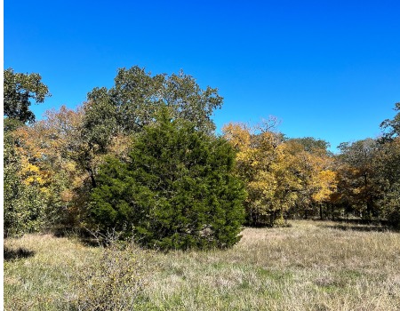 Metal Roofers Lockhart