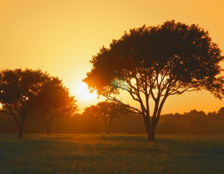 Metal Roofers Wells Branch