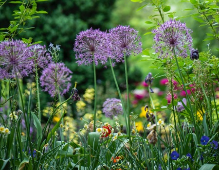 Metal Roofers Rollingwood