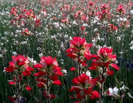 Metal Roofers Woodway